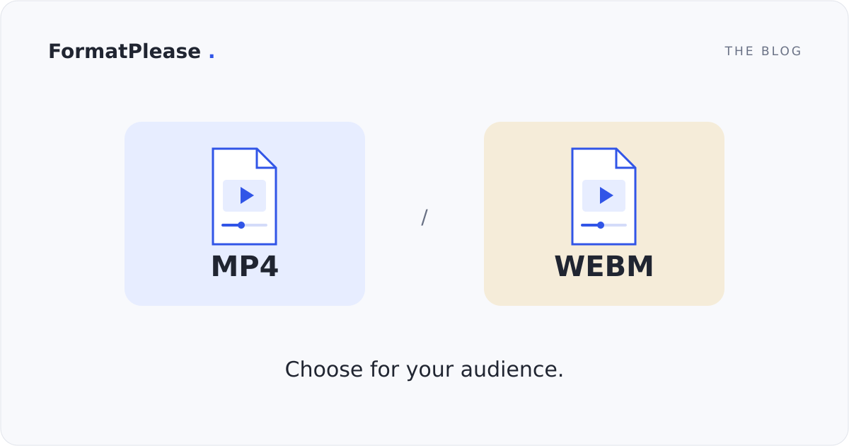 MP4 and WebM video file cards with play controls: choose for your audience