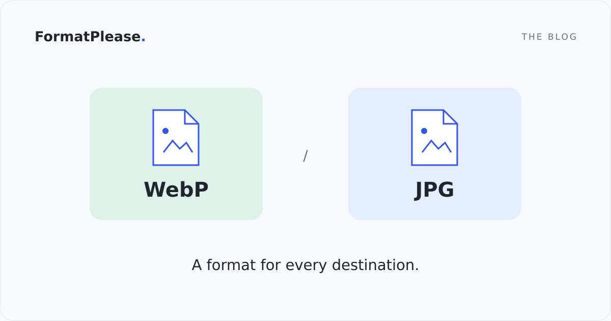 WebP and JPG file cards for web delivery and everyday sharing